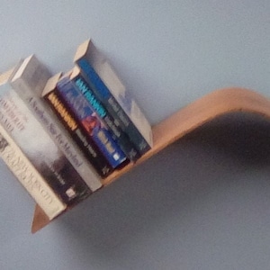 Steam-Bent Bookshelf image 1
