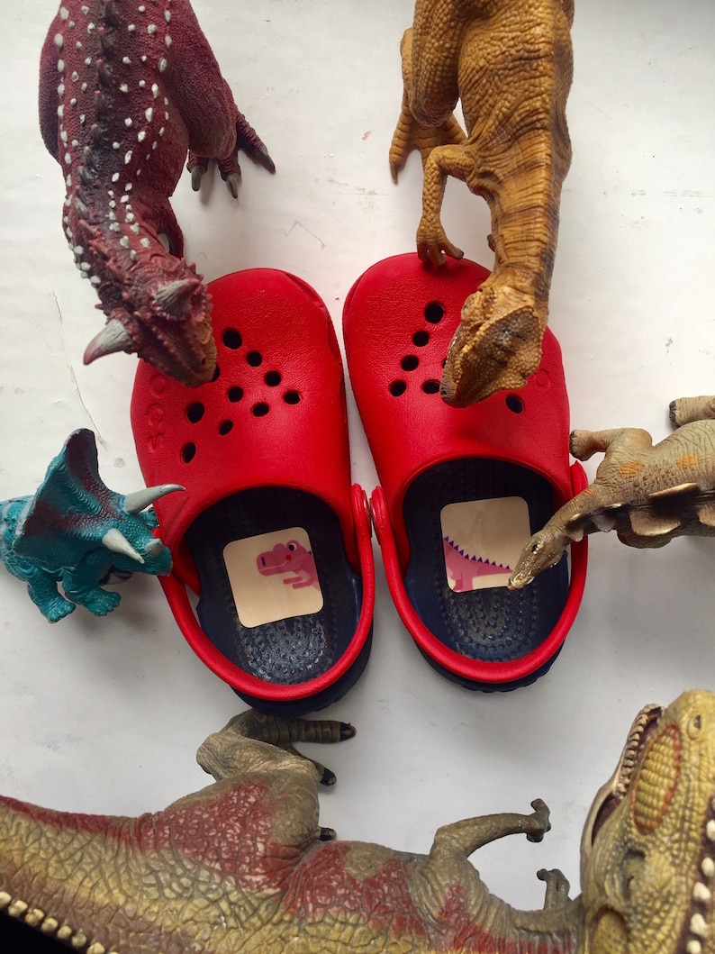 Schuh Aufkleber Dinosaurier, Kindergarten Must Have Bild 1