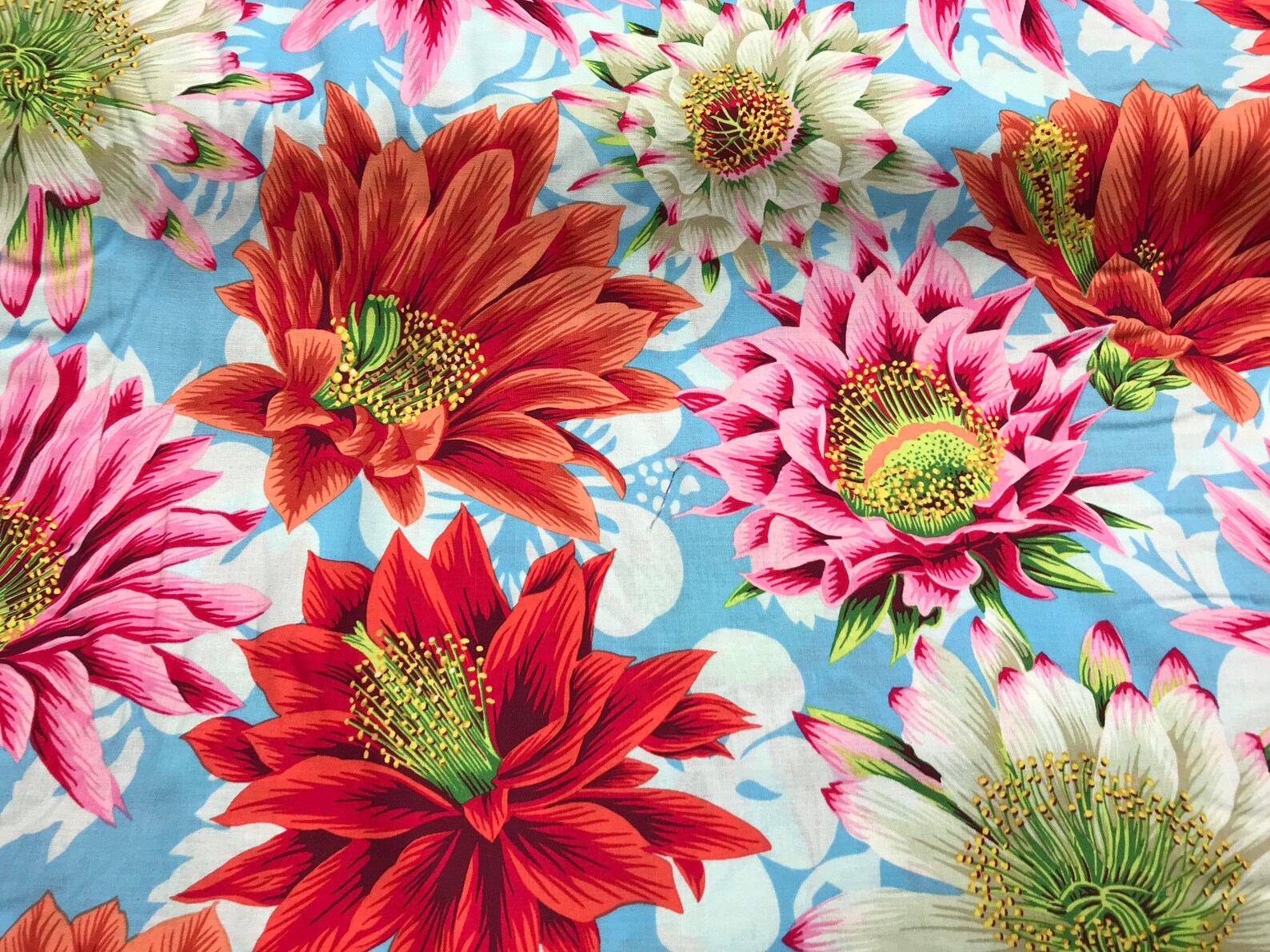 100 Cotton print fabric from the Kaffe Fassett Cactus Flower Etsy