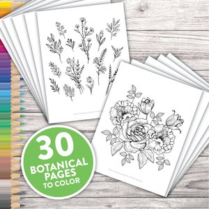 Adult Coloring Etsy