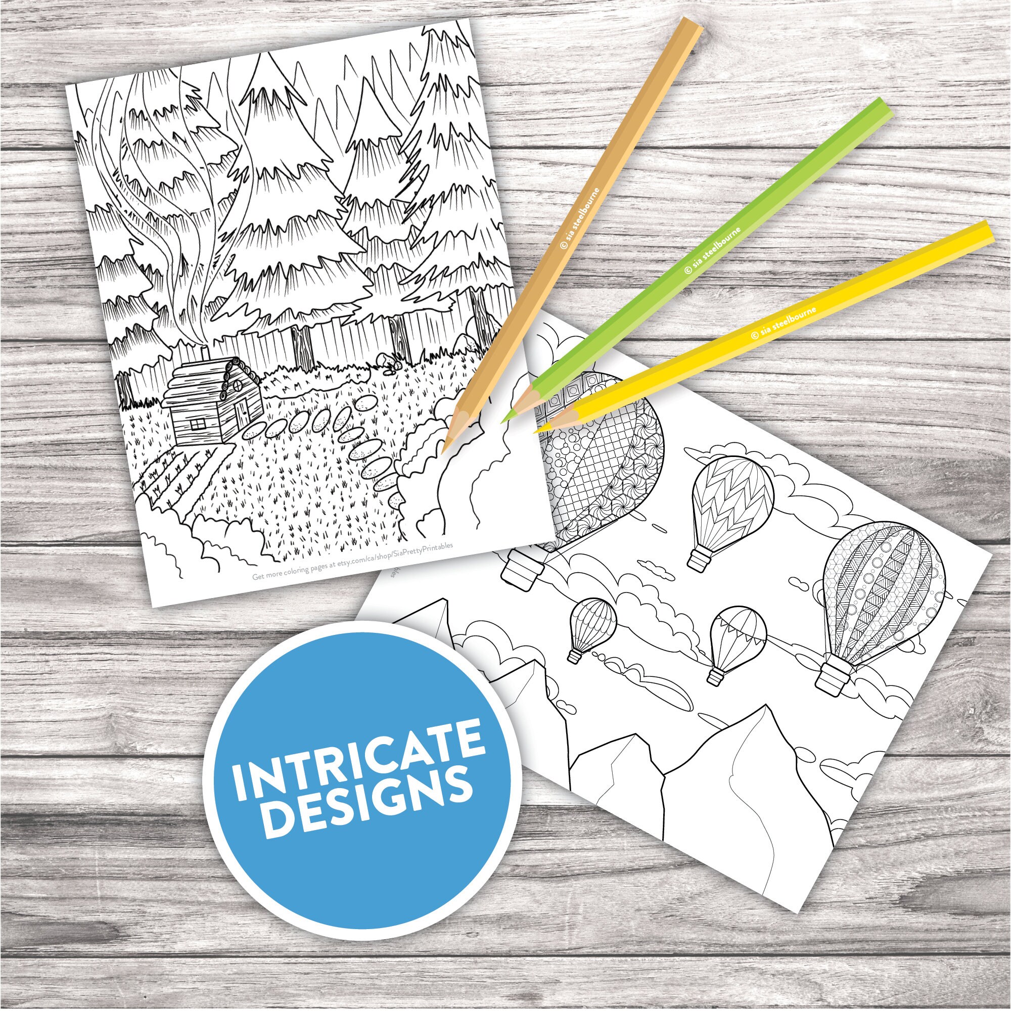 Scenic Landscapes Coloring Pages for Adults | 25 Printable Designs ...