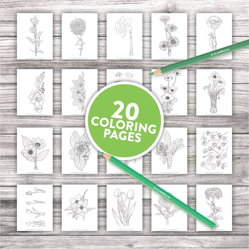 Printable Adult Coloring Pages Botanical Floral Sketches | Etsy