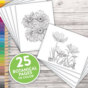 Printable Adult Coloring Pages Botanical Floral Sketches Drawings Adult Coloring At Home Activity image 1
