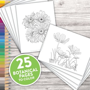 Printable Adult Coloring Pages | Botanical Floral Sketches Drawings | Adult Coloring At Home Activity