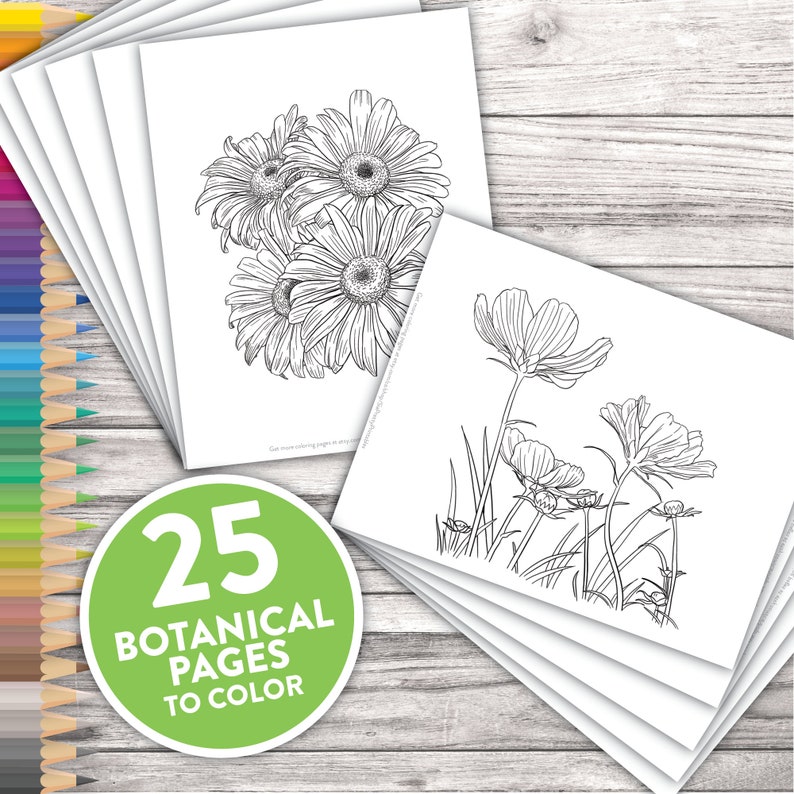 Printable Adult Coloring Pages Botanical Floral Sketches Drawings Adult Coloring At Home Activity image 1