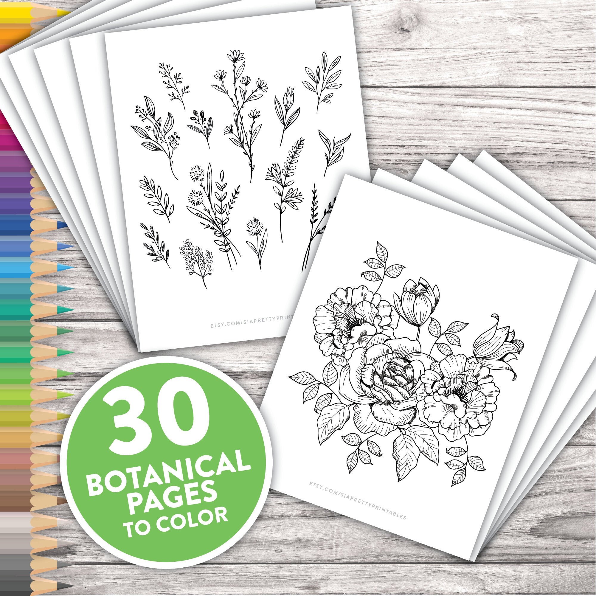 Printable Adult Coloring Pages | Botanical Floral Sketches Drawings |…