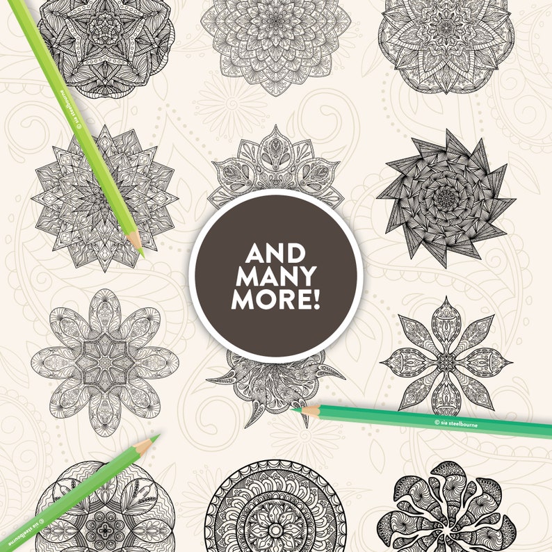 Printable Mandala Adult Coloring Pages Floral Mandala Easy Coloring Book 100 Mandalas image 7