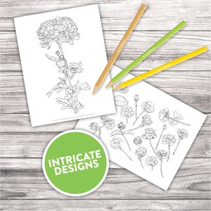 Printable Adult Coloring Pages Botanical Floral Sketches Drawings Adult Coloring At Home Activity image 5