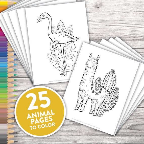Printable Cute Animal Coloring Pages  Easy Fun Coloring Book