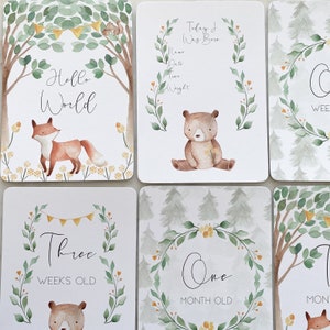 K&ouml;nnte beinhalten: Ein Set aus sechs Baby-Meilenstein-Karten mit Waldtieren und Gr&uuml;npflanzen. Die Karten enthalten die S&auml;tze "Hello World", "Today I Was Born", "One Month Old", "Three Weeks Old", "One Week Old" und "Two Weeks Old".