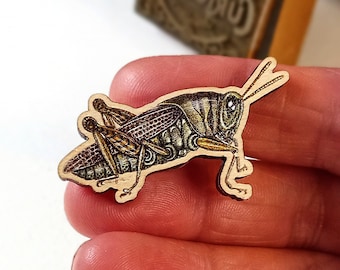 Grasshopper brooch wooden badge unique designed British wildlife lapel accessory Timeless Curiosity Zentangle inspired insect mini artwork