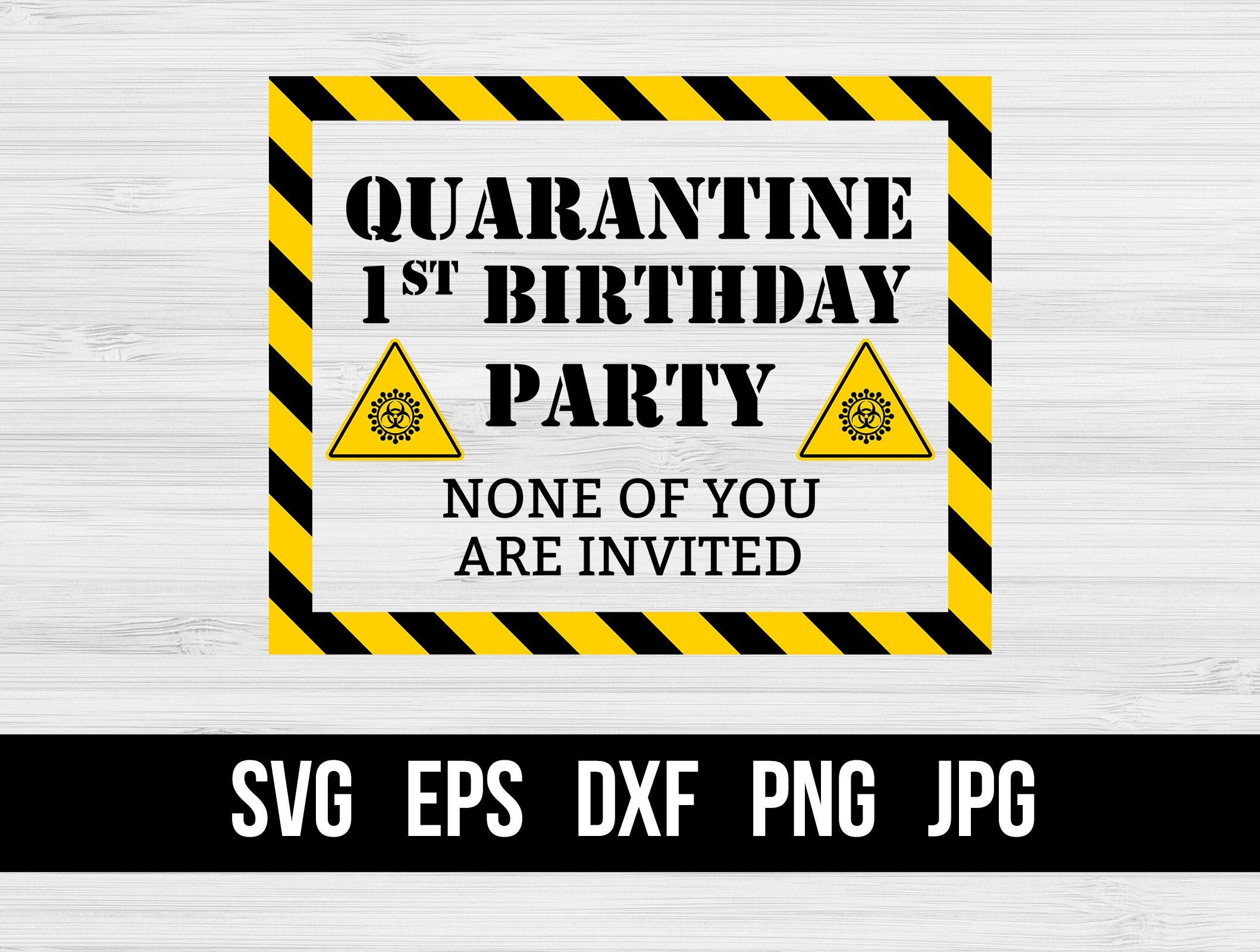 Download Quarantine 1st Birthday Svg 1st Birthday Party Quarantine Etsy