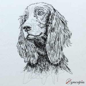 Irish Setter scribble