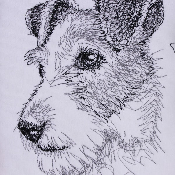 Parson Russell Terrier scribble