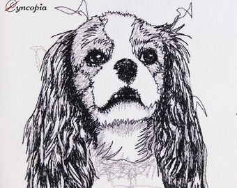 Cavalier King Charles scribble