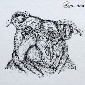 English Bulldog scribble