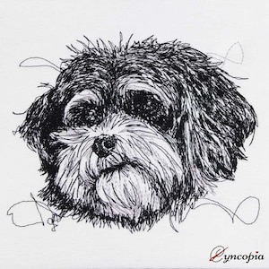 Bolonka Zwetna scribble