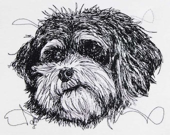 Bolonka Zwetna scribble