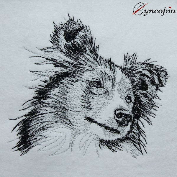 Shetland Sheepdog scribble