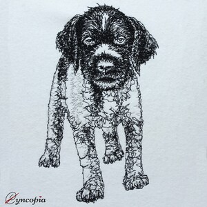 May include: Black and white line art illustration of a German Shorthaired Pointer puppy standing with its front paws forward.