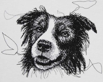 Border Collie scribble