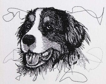 Bernese Mountain Dog scribble