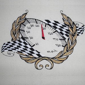Speedo racing 1318