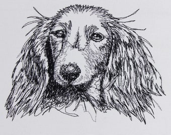 Long-haired Dachshund scribble