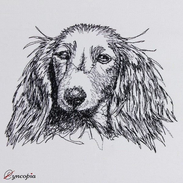 Long-haired Dachshund scribble