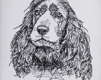 Cocker Spaniel scribble