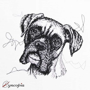 Boxer scribble