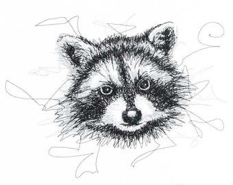 Raccoon scribble