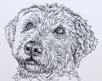 Garabato de Lagotto Romagnolo