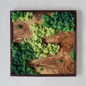 Moss and Wood Square Wall Art •  Living Room Wall Decoration • Framed Wood and Moss • Preserved Moss in a Wooden Frame •  Olive Wood & Moss