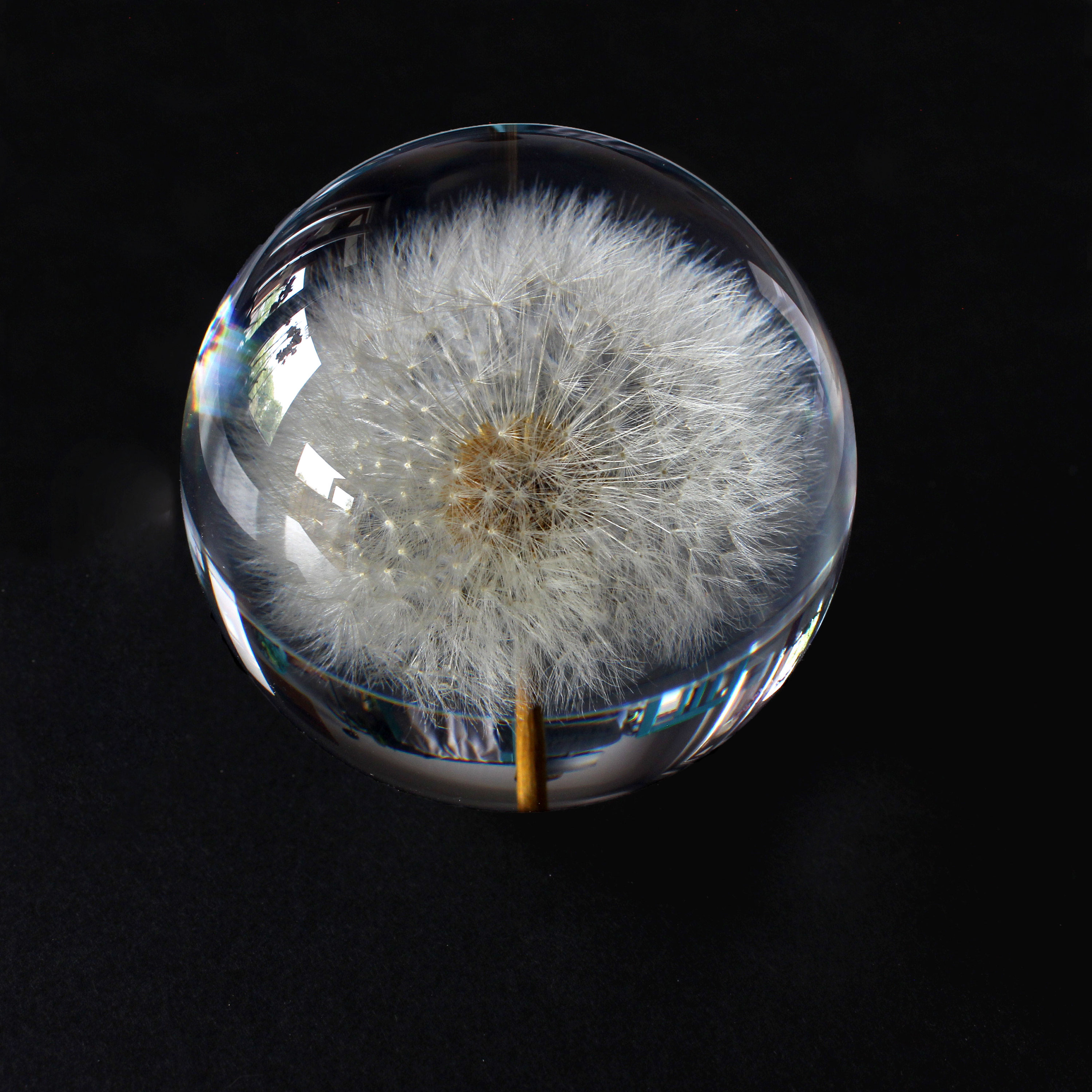 Sustainable Plant Based Eco-Resin Sphere Paperweight - Dandelion