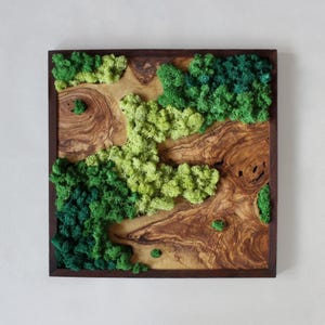 Moss and Wood Square Wall Art •  Living Room Wall Decoration • Framed Wood and Moss • Preserved Moss in a Wooden Frame •  Olive Wood & Moss