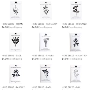 CULINARY HERB SEEDS 2 - Pack of 5 image 3