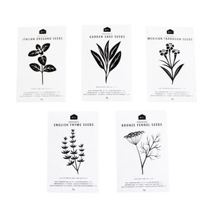 CULINARY HERB SEEDS 2 Pack of 5 image 1