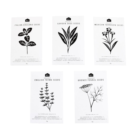 CULINARY HERB SEEDS 2 - Pack of 5