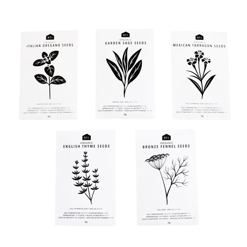 CULINARY HERB SEEDS 2 - Pack of 5 image 1