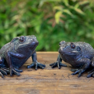 May include: Two bronze frog sculptures are displayed on a wooden surface. The frogs have detailed features, including textured skin and large, expressive eyes. The background is a blurred green foliage, creating a natural setting for the frog figurines.