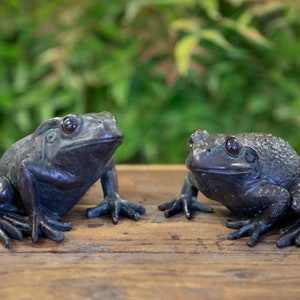 Pair of Frog Garden Ornaments Patio Pond Stream - Bronze Finish