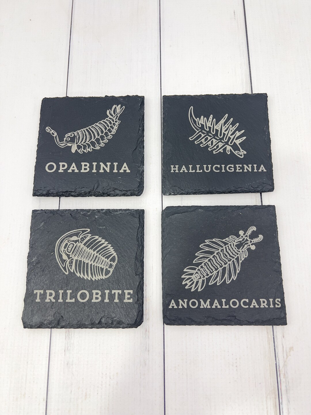 Slate Cambrian Coaster Set | Prehistoric Animal Coasters | Him | Her | Paleontology Gift | Christmas | Fossil Coasters | Trilobite | Unique
