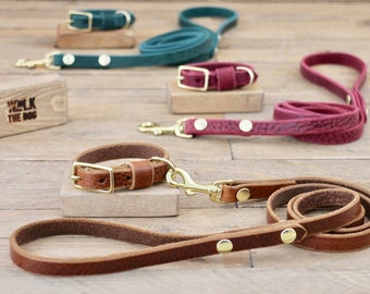 puppy leash and collar set
