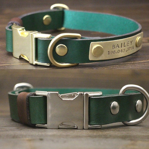 Rolled Leather Quick Release Dog Collar Solid Brass Hardware Etsy