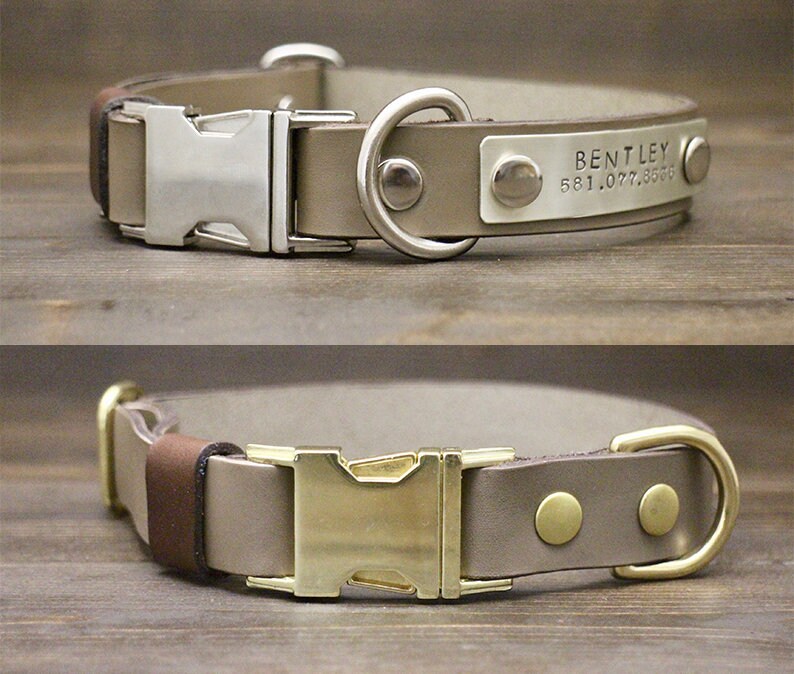 dog collar clips hardware