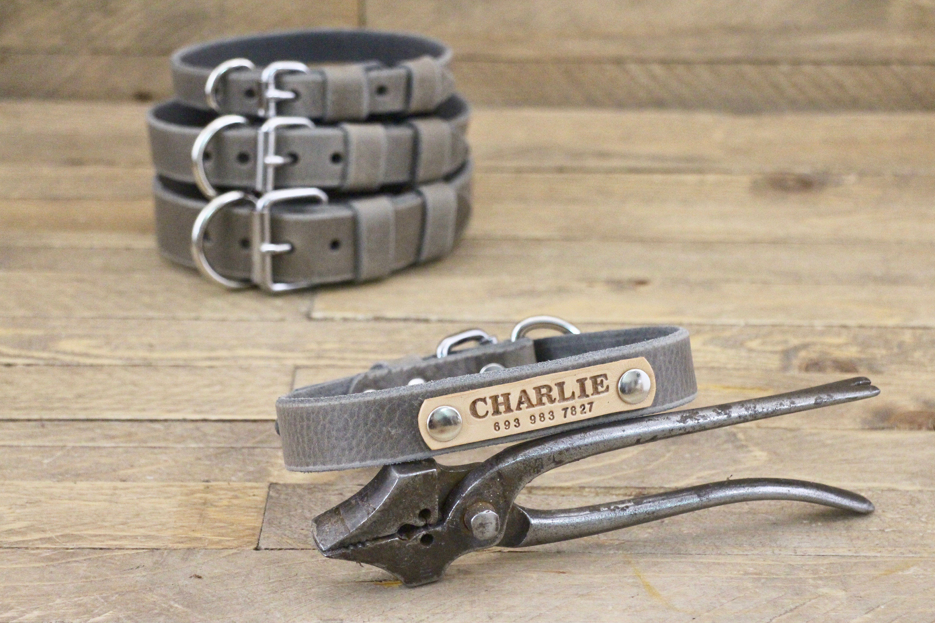 personalised dog id tags