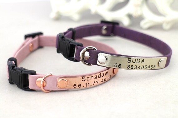 custom kitten collar