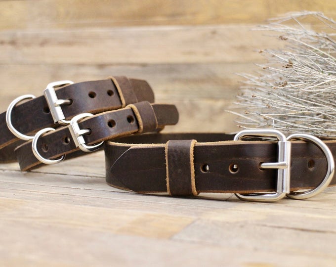 Dog collar, FREE ID TAG, Leather collar, Dog gift, Personalised gift, Handmade leather collar, Cocoa collar, Classic collar.