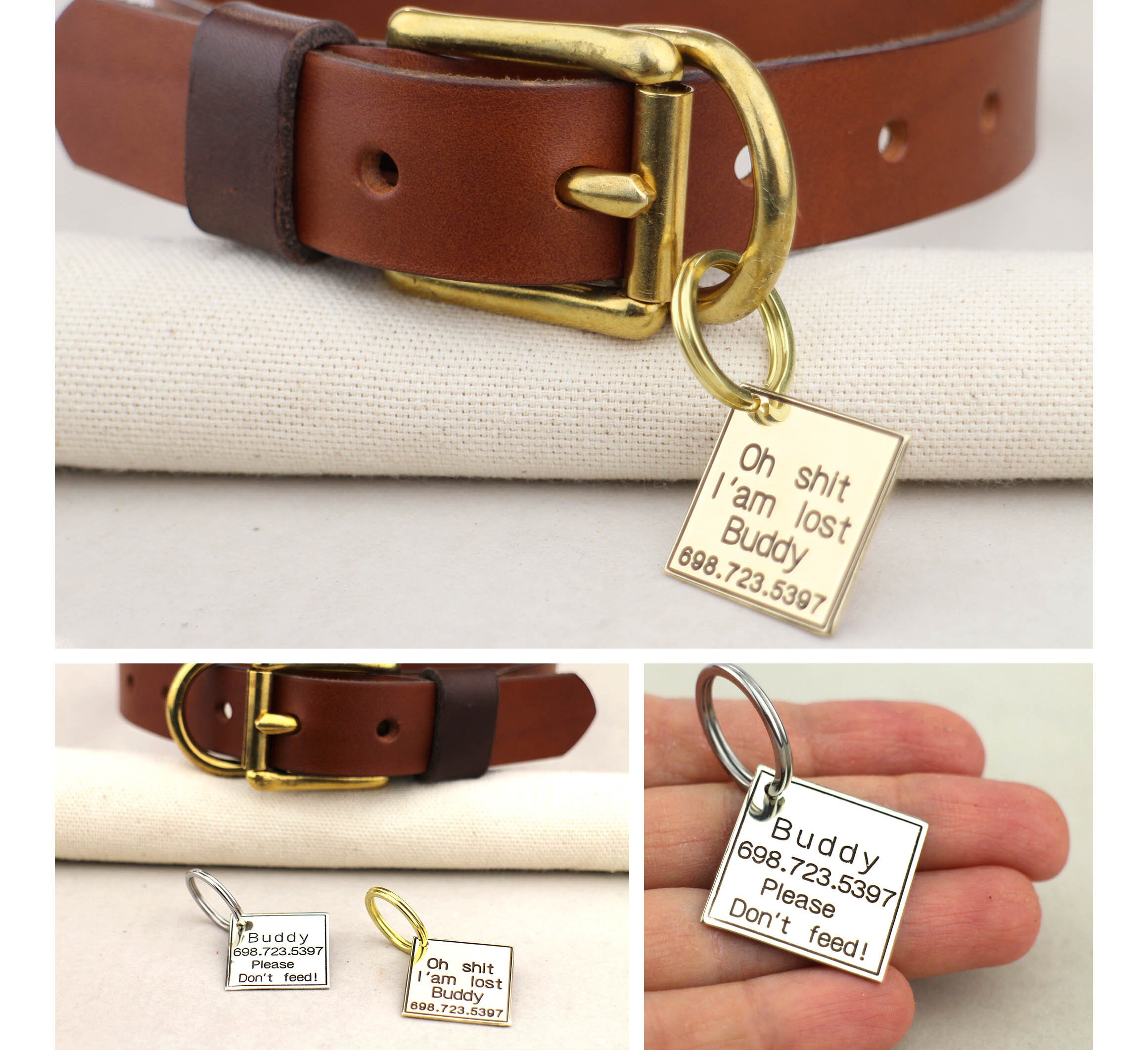 Should You Put Your Dogs Name On Their Tag